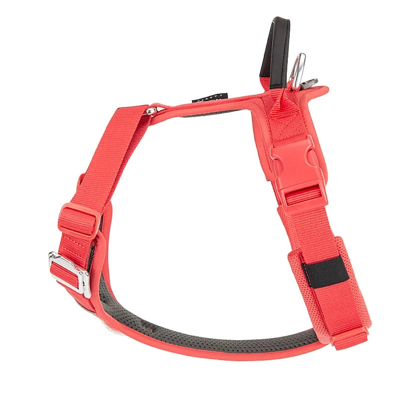 Small Combination - Kleurrijk Reflecterend Anti-Trek Hondentuigje